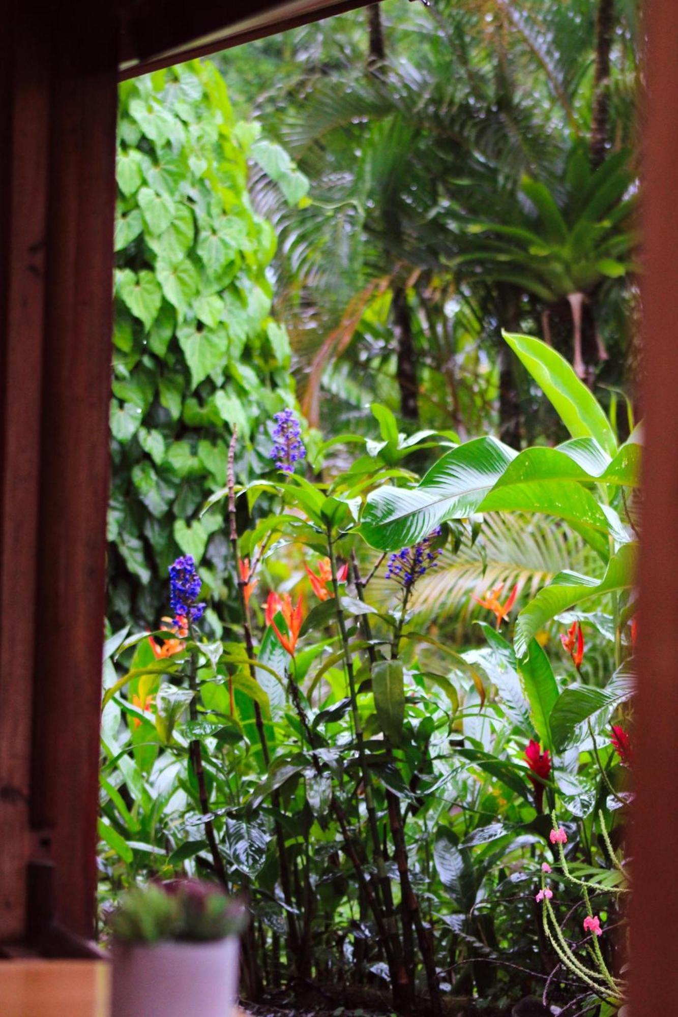 Sueno Rio Celeste Boutique B&B Bijagua Luaran gambar