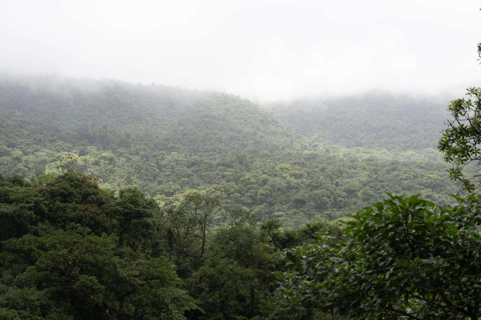 Sueno Rio Celeste Boutique B&B Bijagua Luaran gambar