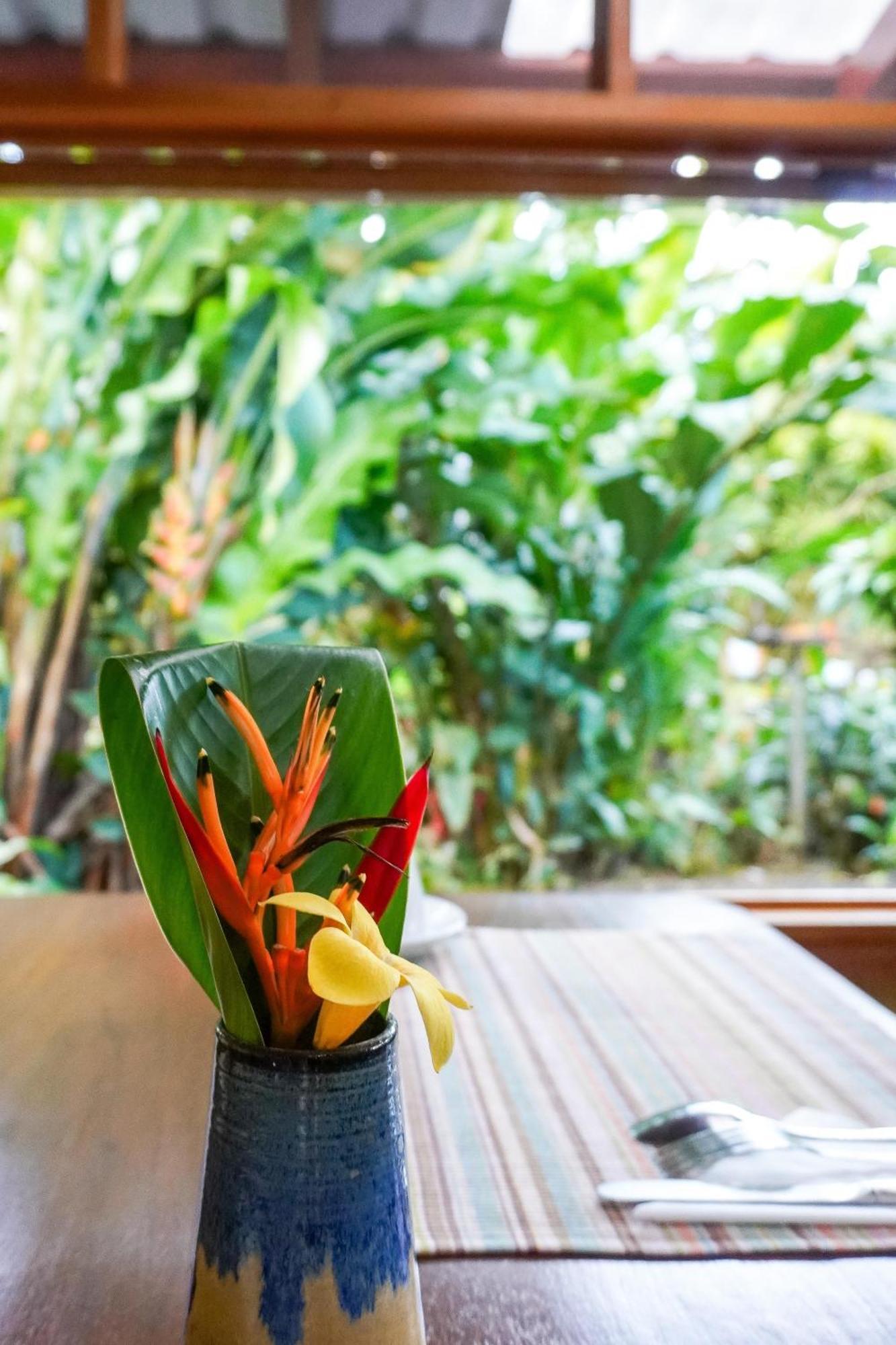 Sueno Rio Celeste Boutique B&B Bijagua Luaran gambar