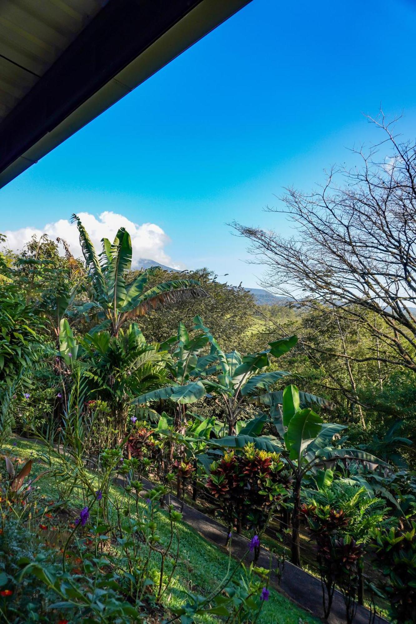 Sueno Rio Celeste Boutique B&B Bijagua Luaran gambar